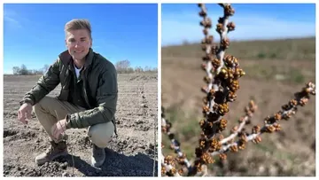 Калининградский фермер начал обрабатывать облепиховые посадки с помощью агродронов